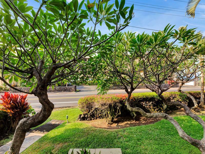 Castle Kona Bali Kai A Condominium Resort Holualoa Ngoại thất bức ảnh